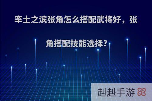 率土之滨张角怎么搭配武将好，张角搭配技能选择?