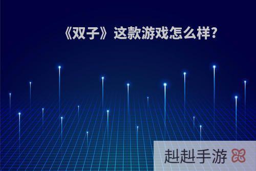 《双子》这款游戏怎么样?