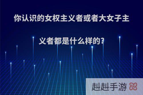 你认识的女权主义者或者大女子主义者都是什么样的?