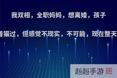 我双相，全职妈妈，想离婚，孩子也不想要，只想带着猫过，但感觉不现实，不可能，现在整天都好难过，怎么办?