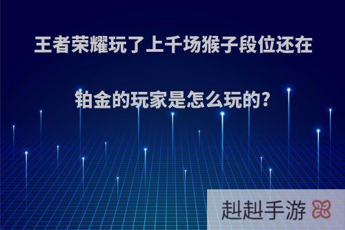 王者荣耀玩了上千场猴子段位还在铂金的玩家是怎么玩的?