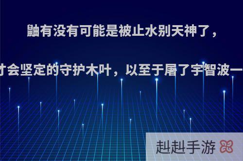 鼬有没有可能是被止水别天神了，鼬才会坚定的守护木叶，以至于屠了宇智波一族?