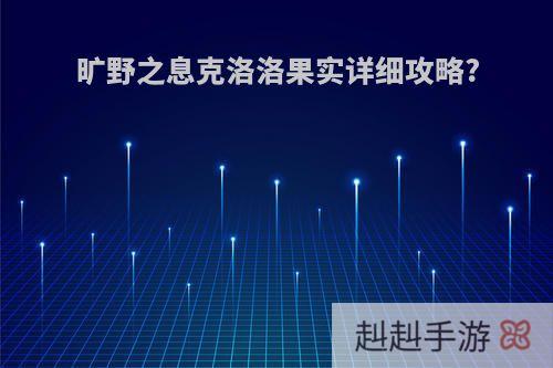 旷野之息克洛洛果实详细攻略?