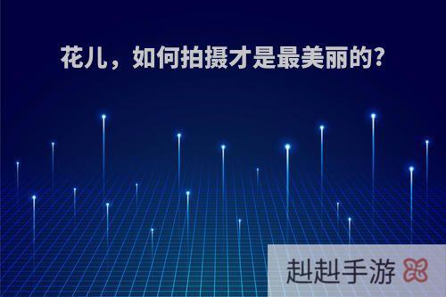 花儿，如何拍摄才是最美丽的?