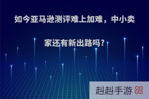 如今亚马逊测评难上加难，中小卖家还有新出路吗?