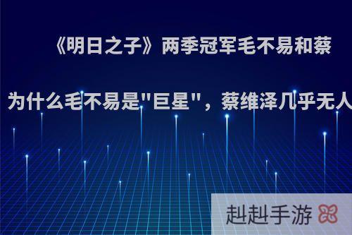 《明日之子》两季冠军毛不易和蔡维泽，为什么毛不易是