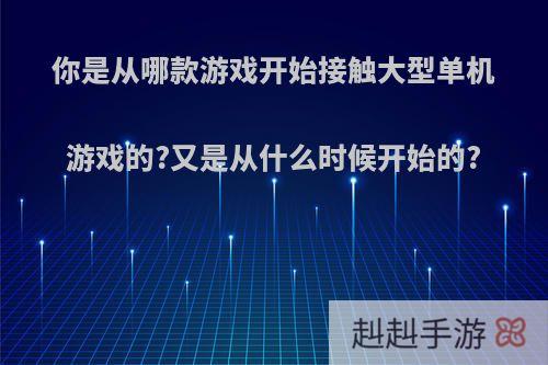 你是从哪款游戏开始接触大型单机游戏的?又是从什么时候开始的?