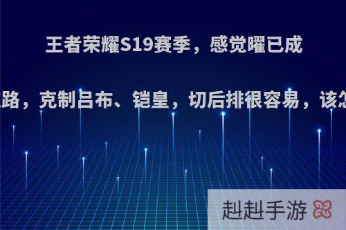 王者荣耀S19赛季，感觉曜已成为最恶心的边路，克制吕布、铠皇，切后排很容易，该怎么玩比较好?