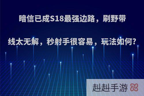 暗信已成S18最强边路，刷野带线太无解，秒射手很容易，玩法如何?