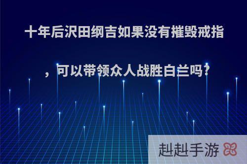 十年后沢田纲吉如果没有摧毁戒指，可以带领众人战胜白兰吗?