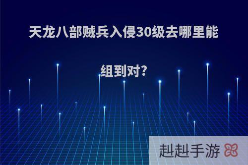 天龙八部贼兵入侵30级去哪里能组到对?