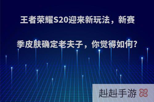 王者荣耀S20迎来新玩法，新赛季皮肤确定老夫子，你觉得如何?