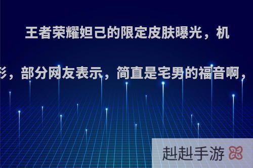 王者荣耀妲己的限定皮肤曝光，机械少女外形，部分网友表示，简直是宅男的福音啊，你怎么看?