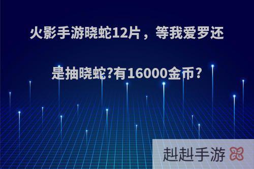 火影手游晓蛇12片，等我爱罗还是抽晓蛇?有16000金币?