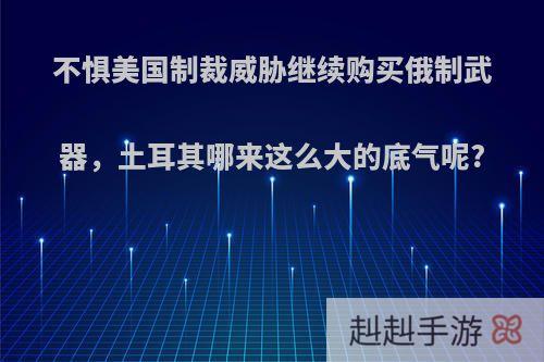 不惧美国制裁威胁继续购买俄制武器，土耳其哪来这么大的底气呢?
