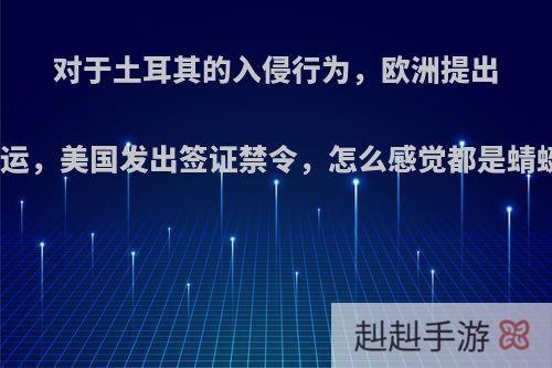 对于土耳其的入侵行为，欧洲提出武器禁运，美国发出签证禁令，怎么感觉都是蜻蜓点水?
