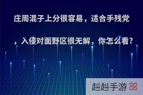 庄周混子上分很容易，适合手残党，入侵对面野区很无解，你怎么看?
