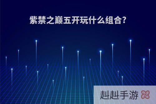 紫禁之巅五开玩什么组合?