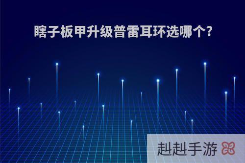 瞎子板甲升级普雷耳环选哪个?