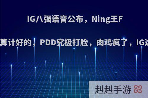 IG八强语音公布，Ning王F6踢AD都是算计好的，PDD究极打脸，肉鸡疯了，IG这么可怕吗?