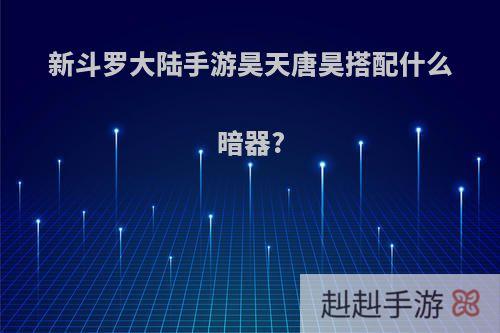 新斗罗大陆手游昊天唐昊搭配什么暗器?