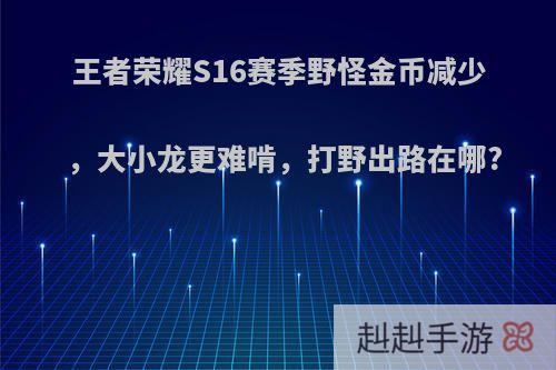 王者荣耀S16赛季野怪金币减少，大小龙更难啃，打野出路在哪?