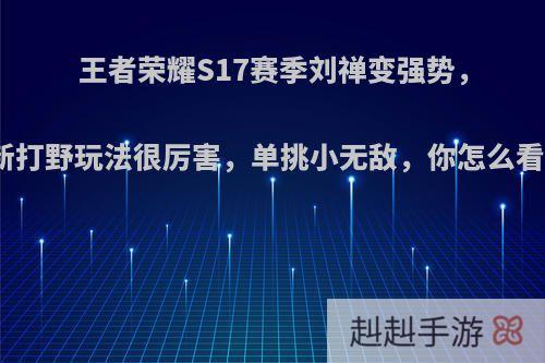 王者荣耀S17赛季刘禅变强势，新打野玩法很厉害，单挑小无敌，你怎么看?