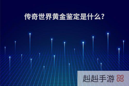 传奇世界黄金鉴定是什么?