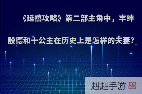 《延禧攻略》第二部主角中，丰绅殷德和十公主在历史上是怎样的夫妻?