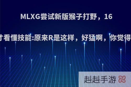 MLXG尝试新版猴子打野，16分钟才看懂技能:原来R是这样，好猛啊，你觉得如何?