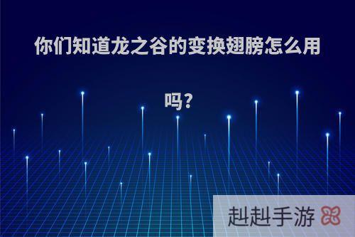 你们知道龙之谷的变换翅膀怎么用吗?