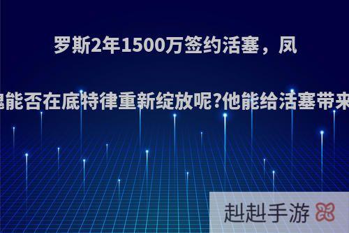 罗斯2年1500万签约活塞，凤城玫瑰能否在底特律重新绽放呢?他能给活塞带来什么?