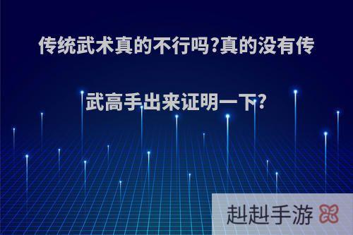 传统武术真的不行吗?真的没有传武高手出来证明一下?