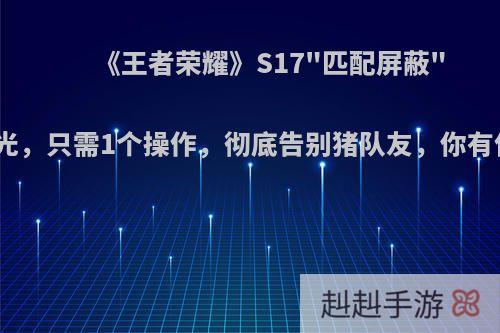 《王者荣耀》S17