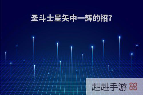 圣斗士星矢中一辉的招?