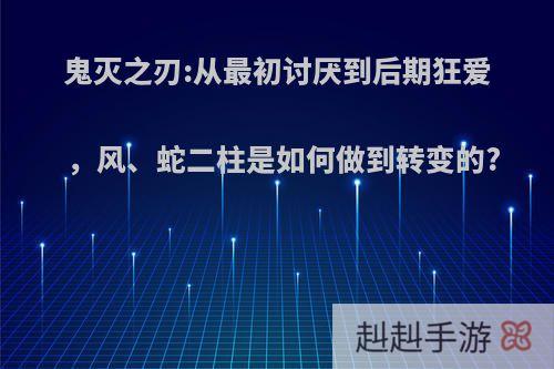 鬼灭之刃:从最初讨厌到后期狂爱，风、蛇二柱是如何做到转变的?