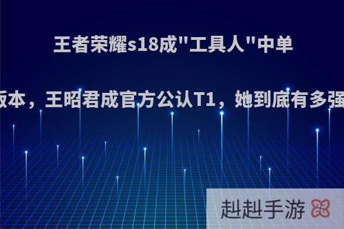 王者荣耀s18成