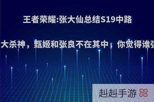 王者荣耀:张大仙总结S19中路三大杀神，甄姬和张良不在其中，你觉得谁强?