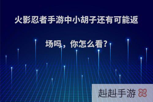 火影忍者手游中小胡子还有可能返场吗，你怎么看?