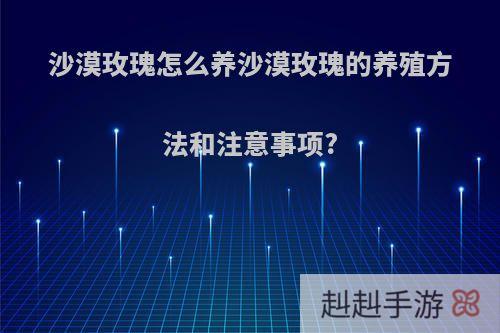 沙漠玫瑰怎么养沙漠玫瑰的养殖方法和注意事项?