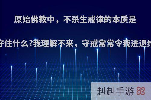 原始佛教中，不杀生戒律的本质是什么?是为了守住什么?我理解不来，守戒常常令我进退维谷，怎么办?