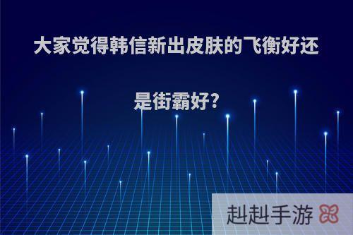 大家觉得韩信新出皮肤的飞衡好还是街霸好?
