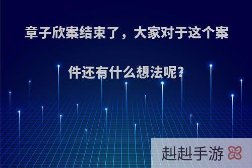 章子欣案结束了，大家对于这个案件还有什么想法呢?