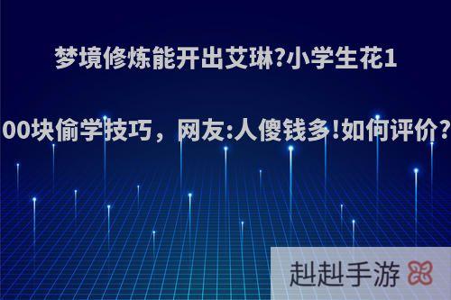 梦境修炼能开出艾琳?小学生花100块偷学技巧，网友:人傻钱多!如何评价?