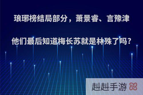 琅琊榜结局部分，萧景睿、言豫津他们最后知道梅长苏就是林殊了吗?
