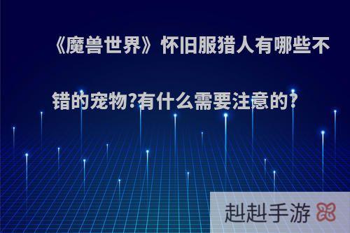 《魔兽世界》怀旧服猎人有哪些不错的宠物?有什么需要注意的?