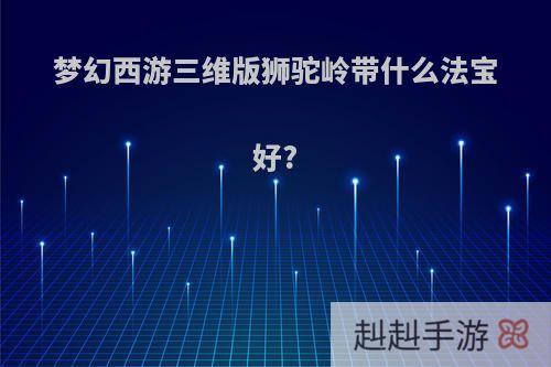 梦幻西游三维版狮驼岭带什么法宝好?