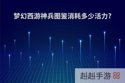 梦幻西游神兵图鉴消耗多少活力?