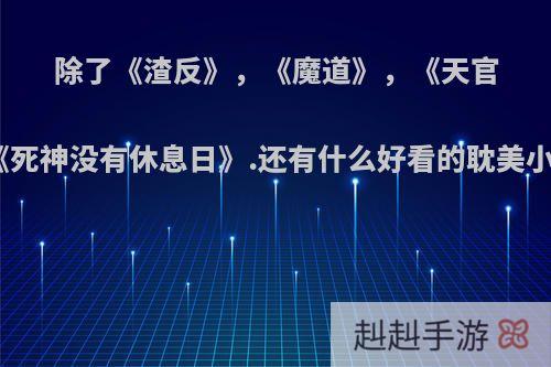 除了《渣反》，《魔道》，《天官》，《死神没有休息日》.还有什么好看的耽美小说吗?