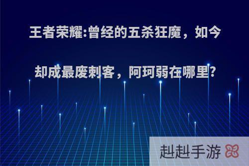 王者荣耀:曾经的五杀狂魔，如今却成最废刺客，阿珂弱在哪里?